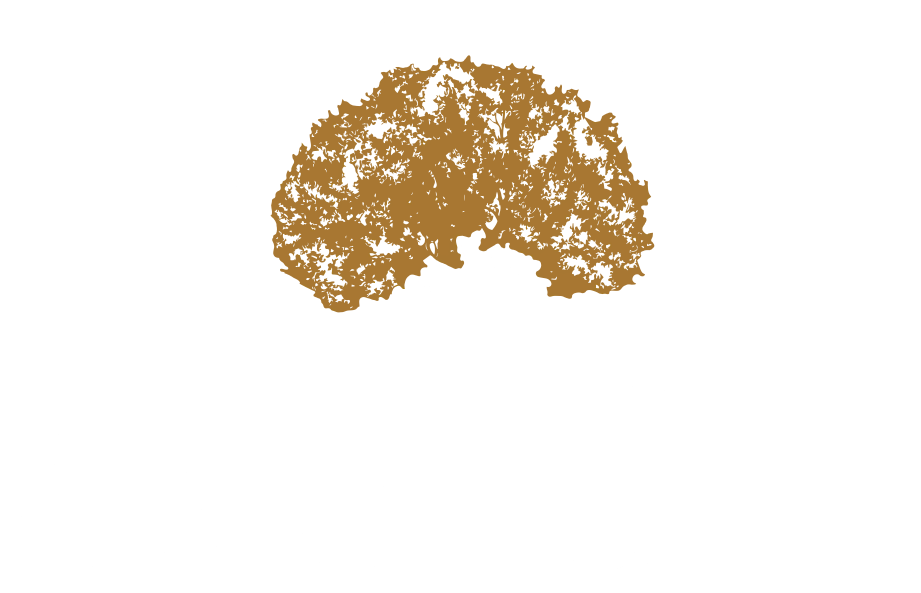 Oak's Hotel